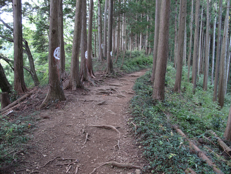 20161014hike (111)